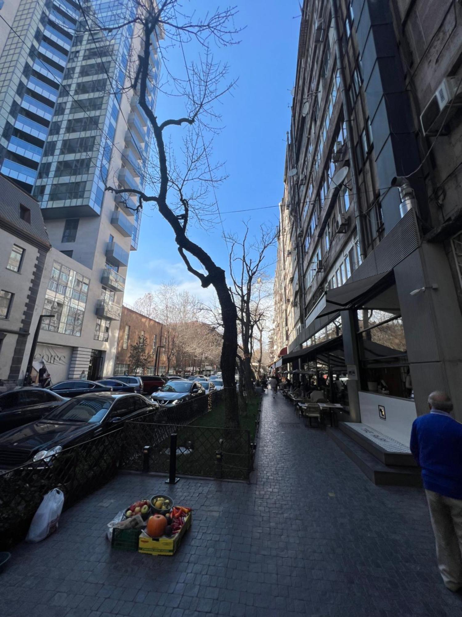 Guest House Northern Avenue Erevan Exterior foto